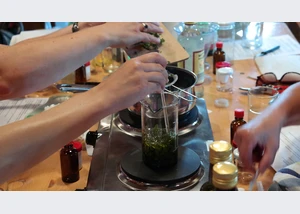 Heilkräuterexpedition mit Workshop