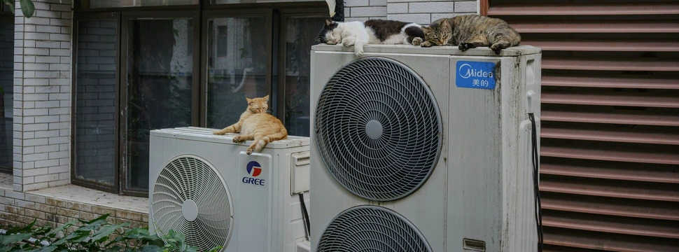 Eine Wärmepumpe an einem Gebäude mit mehreren Katzen darauf