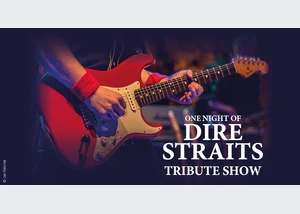One Night of Dire Straits - Tribute Show