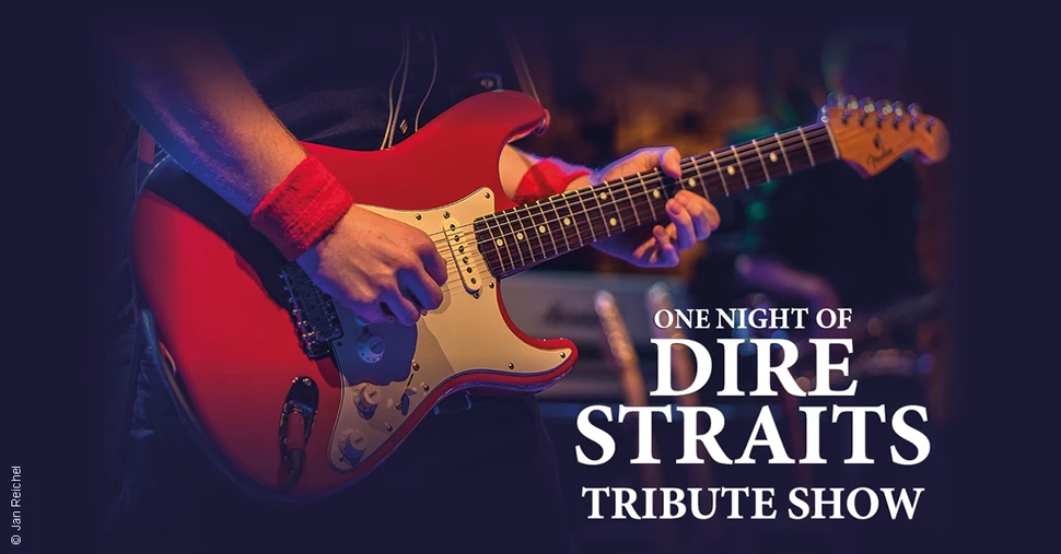 One Night of Dire Straits - Tribute Show