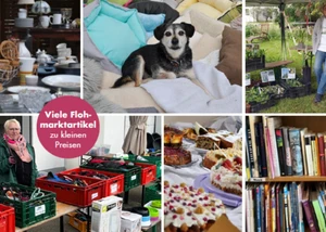 Collage von Bildern aus Flohmarkt Ständen, Hund, Kuchen und Bücher