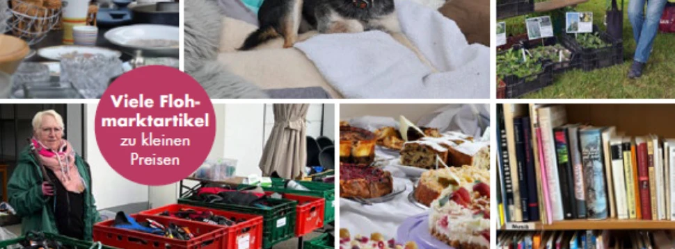 Collage von Bildern aus Flohmarkt Ständen, Hund, Kuchen und Bücher
