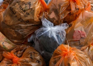 Müllberg, © Jasmin Sessler/Pixabay