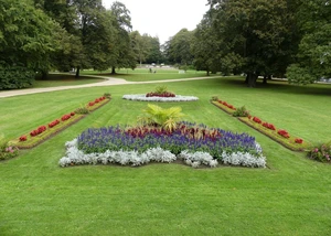 ein großer Garten mir auffälligen Blumen