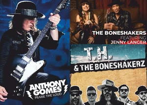 Ein Poster, auf dem mehrere Bands zu sehen sind, die im Februar in Joldelund auftreten