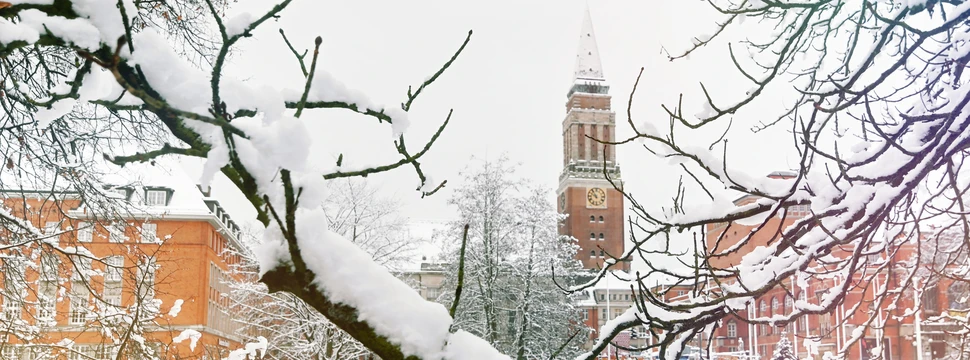 Der Turm des Kieler Rathauses im Schnee zwischen Ästen von Bäumen aus gesehen