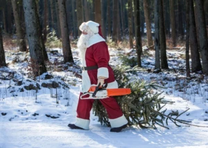 Weihnachtsmann, © STIHL Weihnachtsmann, © STIHL