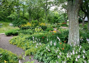 Gartenweg mit Blumen, © pixabay.com / JamesDeMers