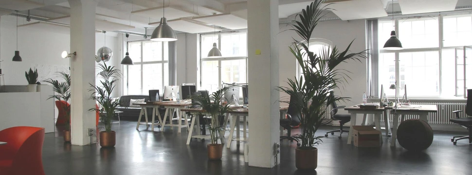 Ein großer Raum mit weißen Decken und Stützpfeilern, zwischen denen sich Stühle, Tische und Pflanzen befinden