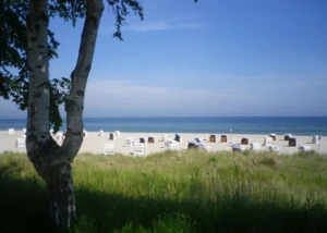 Sonniger Strandtag mit Blick auf die Ostsee und weißen Strandkörben. Strand mit weißen Strandkörben und Blick auf die Ostsee bei sonnigem Wetter.