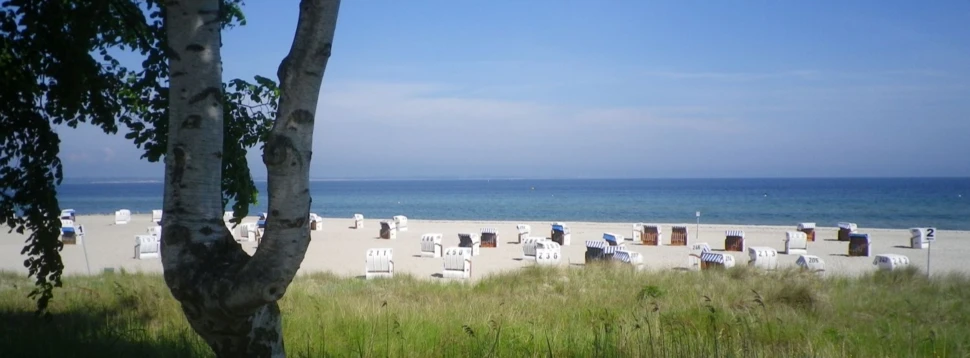 Strand mit weißen Strandkörben und Blick auf die Ostsee bei sonnigem Wetter.