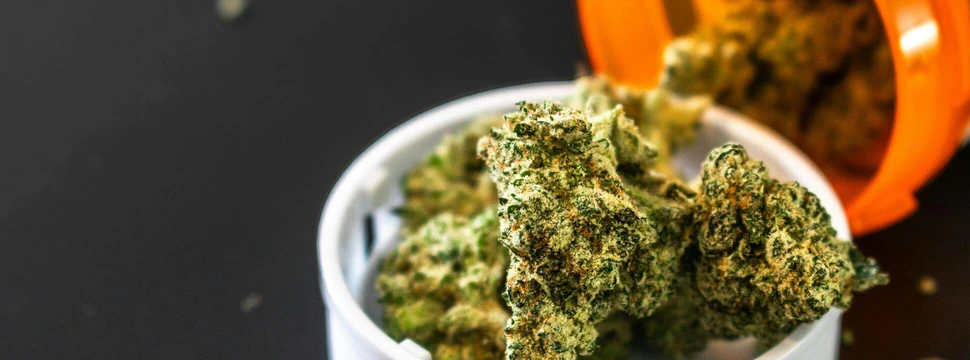 Mehrere Cannabisblüten auf einem Tisch vor einer orangenen Verpackung, in der dieses gelagert wurde