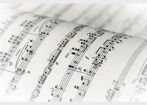 Image by Ri Butov from Pixabay