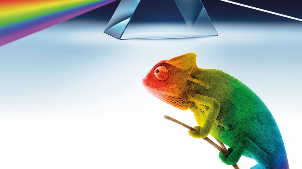 Grafik: Carl Bosch Museum Heidelberg