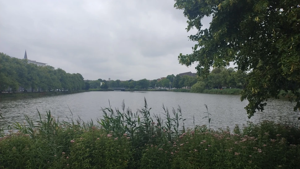 Aussicht auf den kleinen Kiel im Stadtteil Damperhof Ein See in der Kieler Innenstadt mit Bäumen und Schilf im Vordergrund und dem Rathausturm im Hintergrund