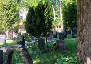 Grabsteine, Bäume und Büsche auf einem grünen Friedhof