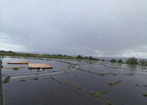 Zusammengebaute Holzplanken, die den Boden des Floßes bilden sollen, wenn diese einmal alle zusammengebaut sind, auf Betonboden mit der Kieler Förde im Hintergrund