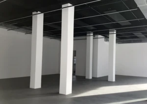 spce Muthesius, Pressefoto