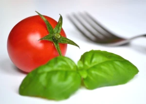 Tomate und Basilikum als Symbol mediterraner Küche Rote Tomate mit frischem Basilikum und Gabel auf weißem Hintergrund