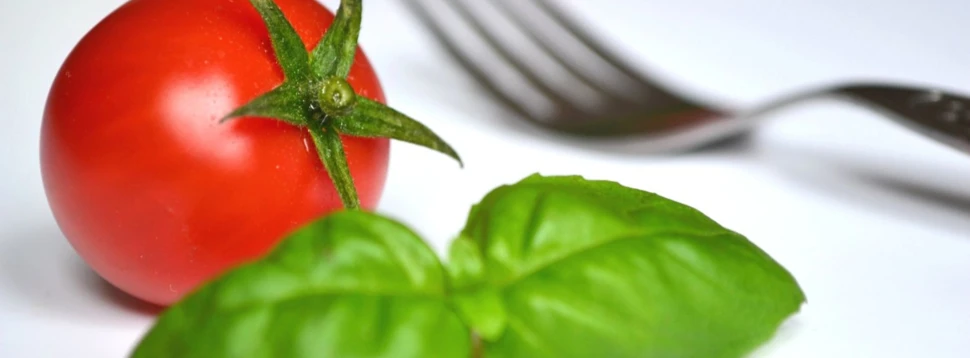 Tomate und Basilikum als Symbol mediterraner Küche Rote Tomate mit frischem Basilikum und Gabel auf weißem Hintergrund
