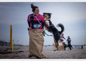 Crossdog on the Beach