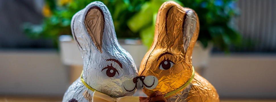 Zwei Schokoosterhasen berühren sich