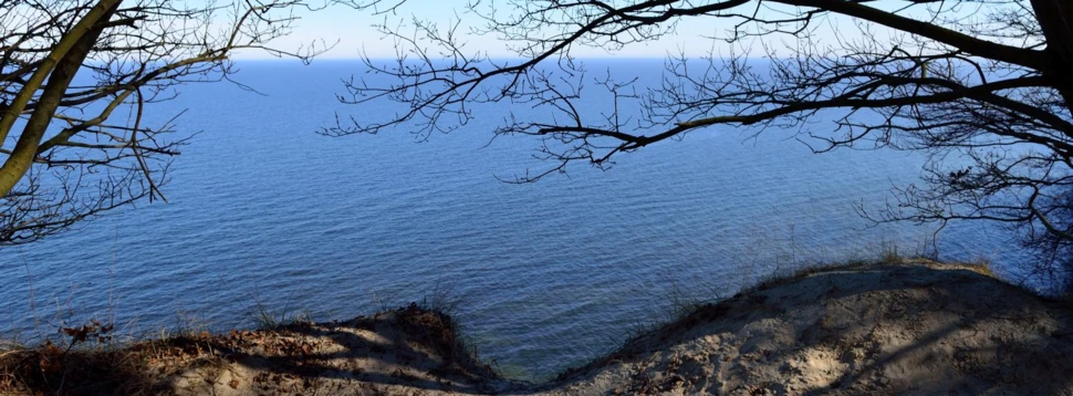 Blick von einer Steilküste auf die ruhige Ostsee mit kahlen Ästen im Vordergrund.