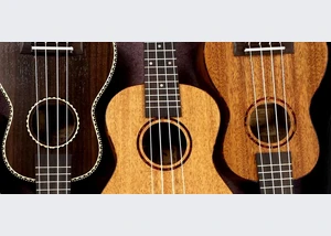 Ukulelen